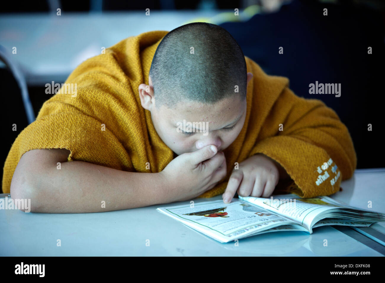 Junger Mönch ein Buch zu lesen Stockfoto