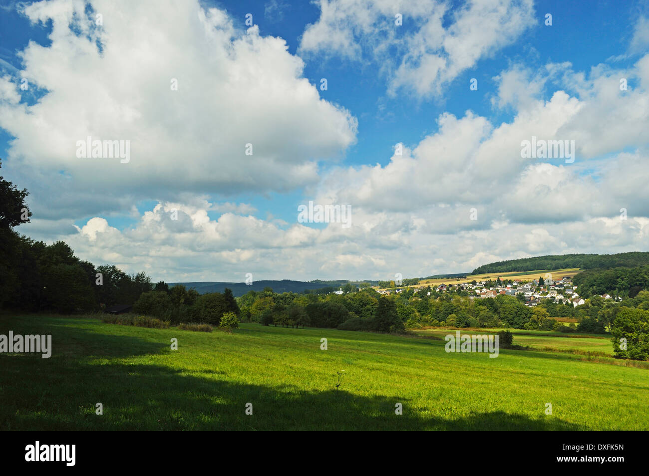 Weide, Nistertal, Westerwald, Rheinland-Pfalz, Deutschland Stockfoto