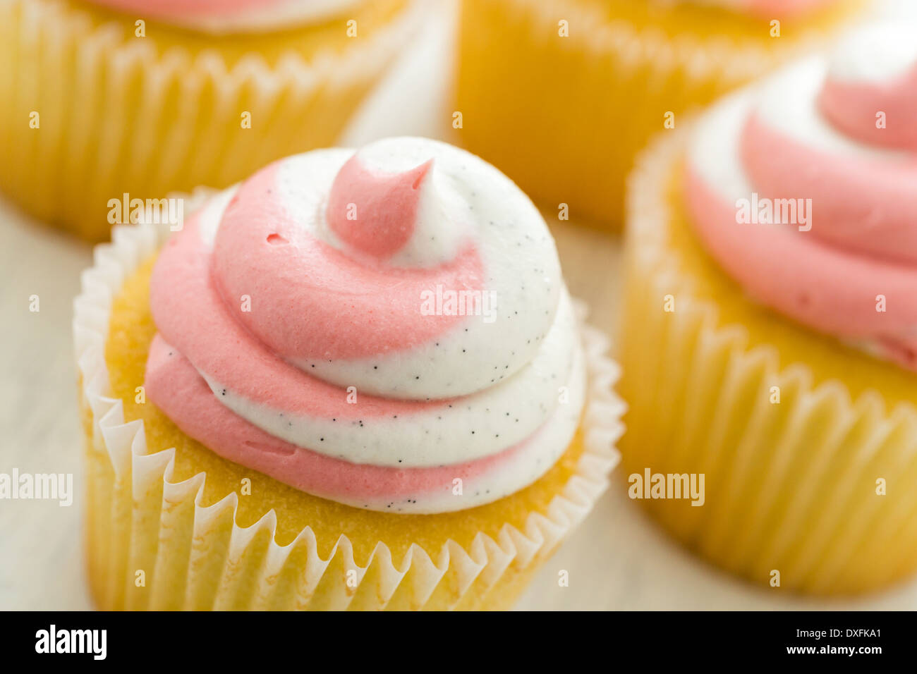 Vanille Cupcakes mit Erdbeer-Sahne gekrönt. Stockfoto