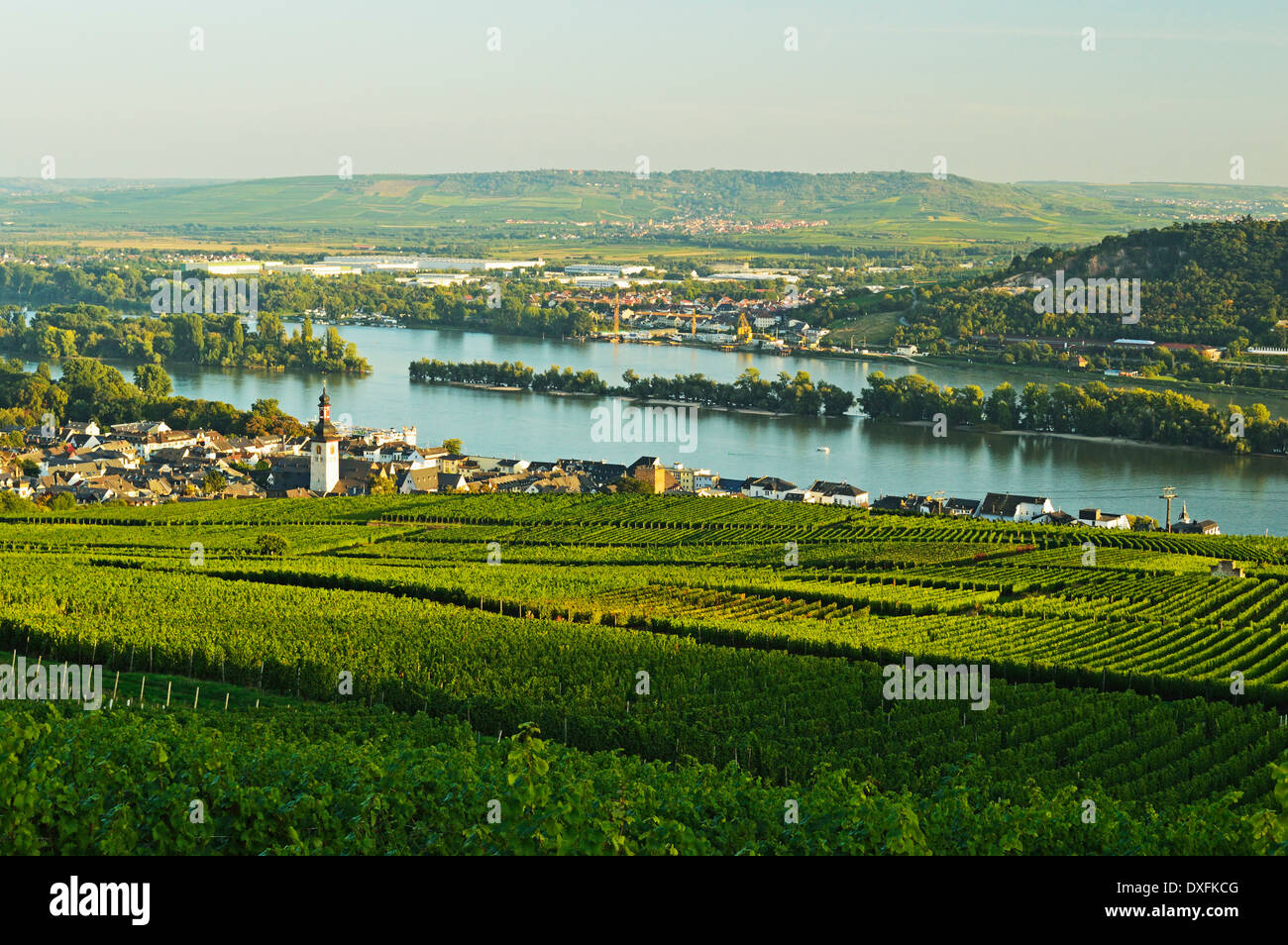 Rüdesheim am Rhein und Bingen in der Ferne, Hessen, Deutschland Stockfoto