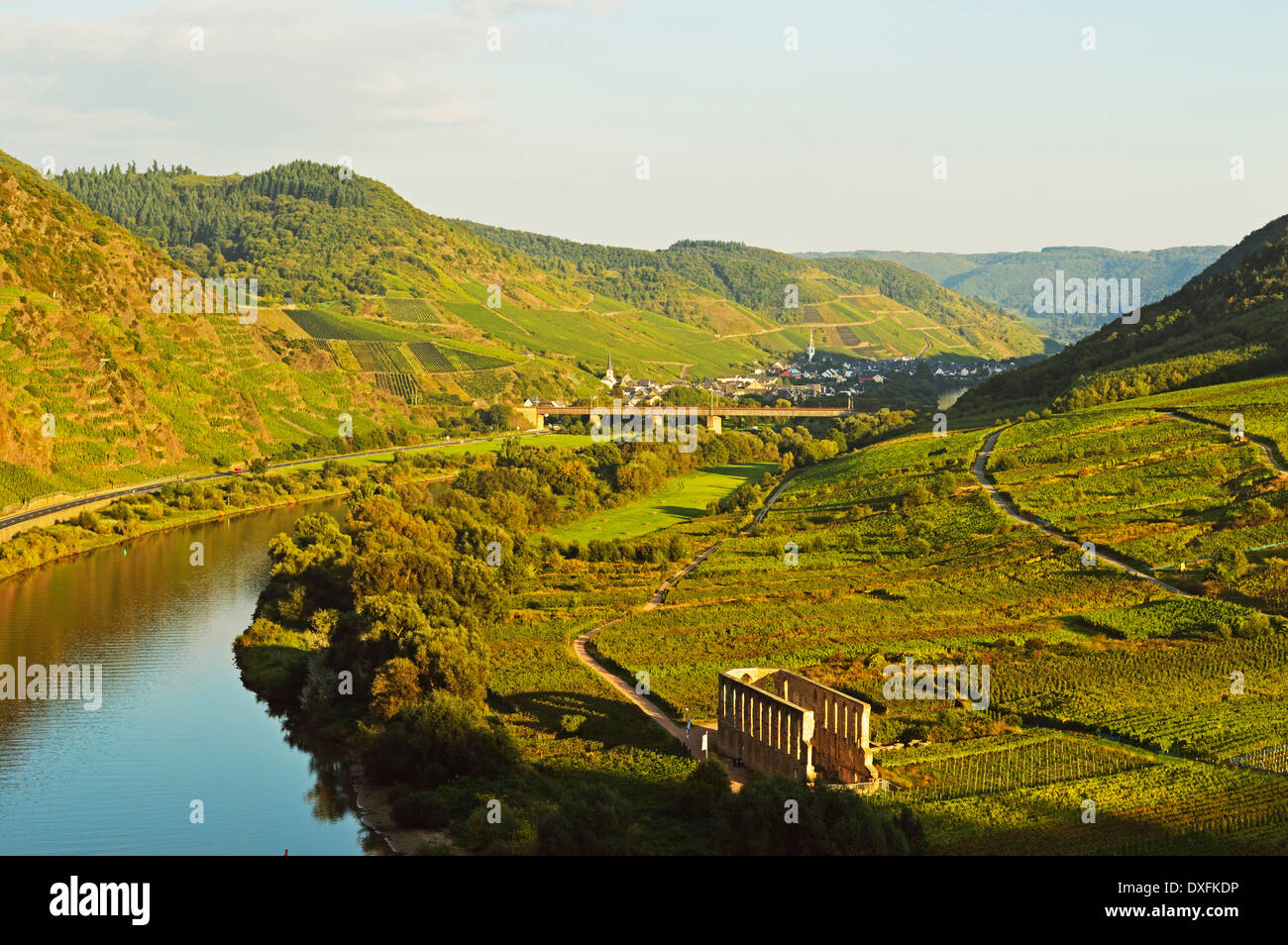 Calmont Weinberge, Stuben Augustiner Kloster und Mosel, Rheinland-Pfalz, Deutschland Stockfoto