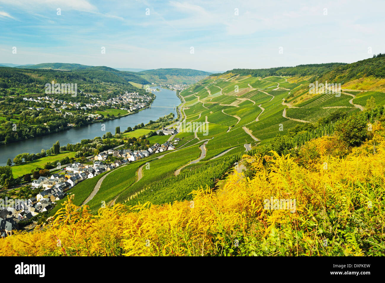 Mosel in der Nähe von Bernkastel-Kues, Rheinland-Pfalz, Deutschland Stockfoto