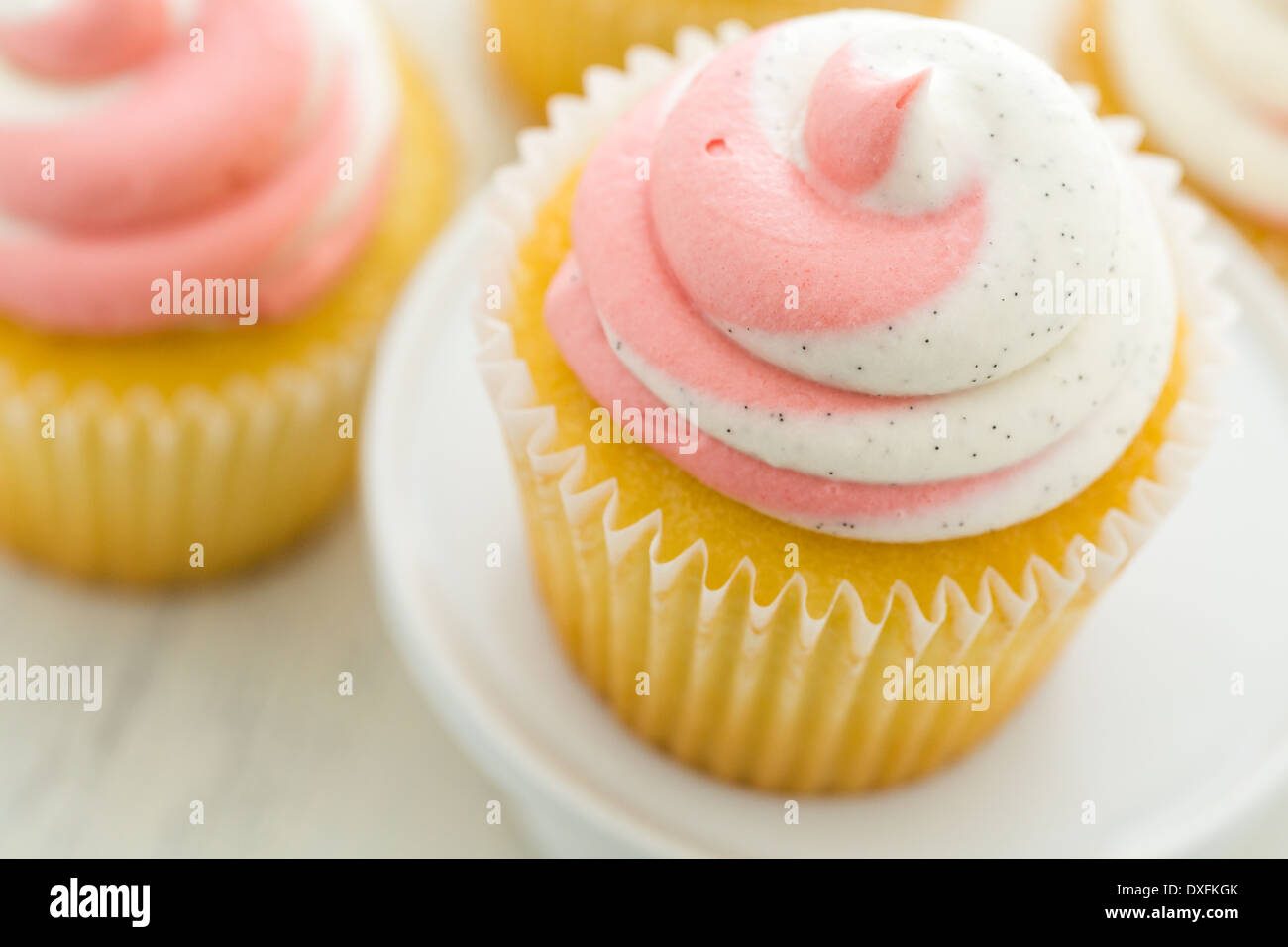 Vanille Cupcakes mit Erdbeer-Sahne gekrönt. Stockfoto