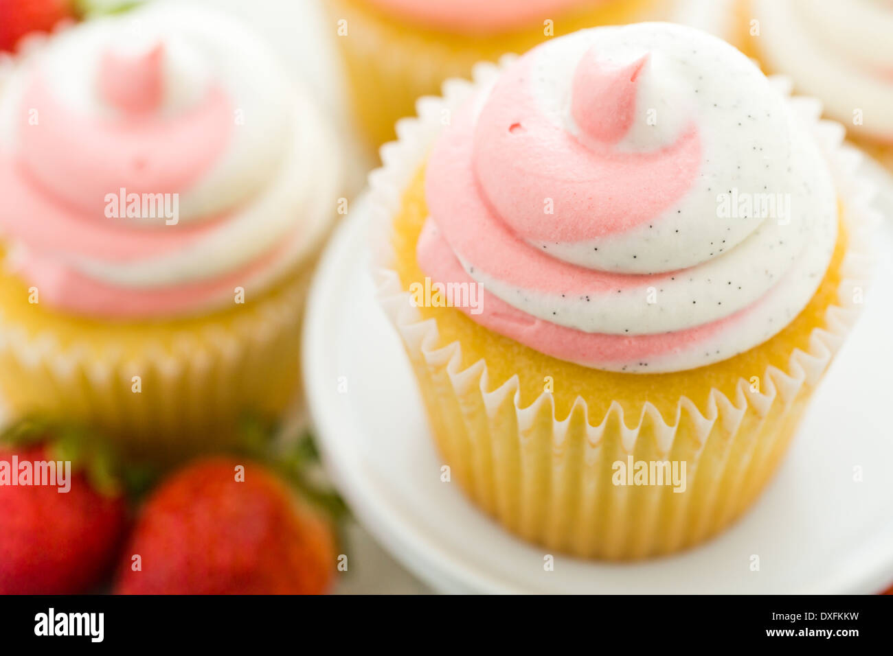 Vanille Cupcakes mit Erdbeer-Sahne gekrönt. Stockfoto