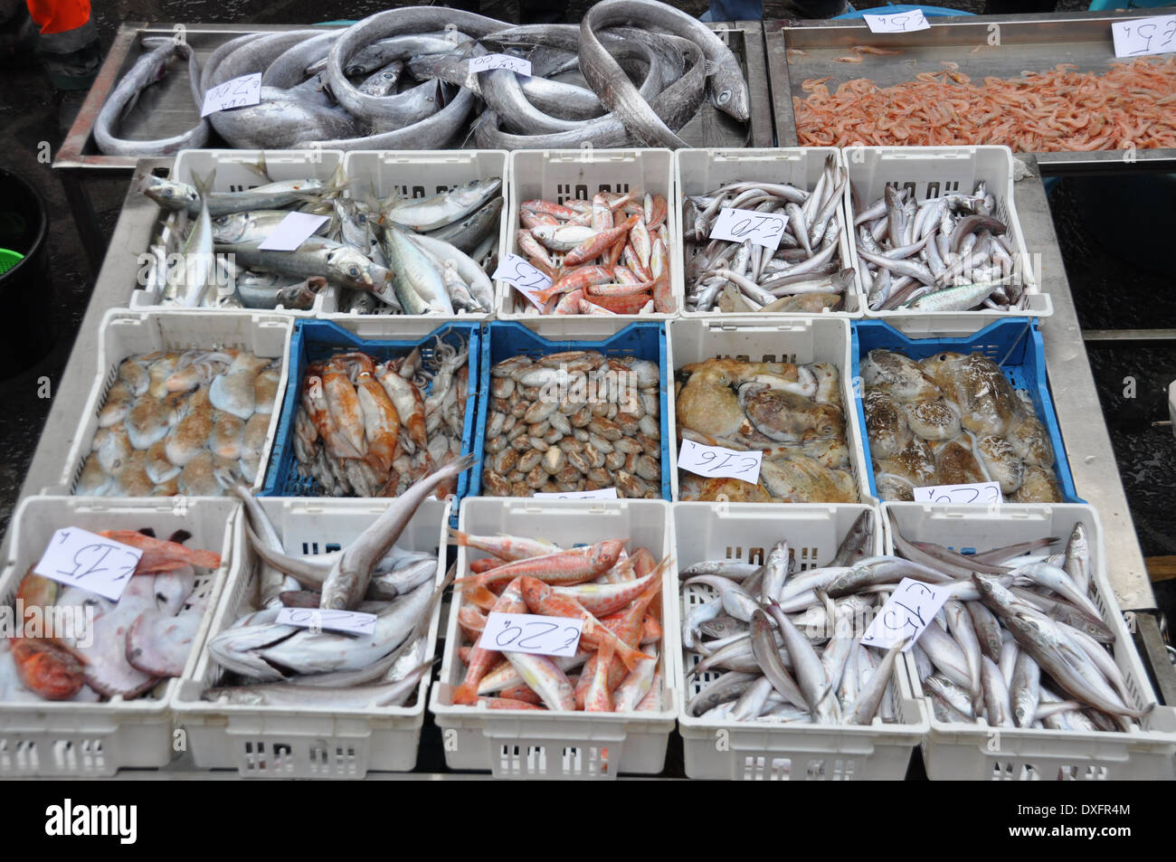 Frischer Fisch auf dem Display an ("Fish Market") Pescheria in Catania, Sizilien Stockfoto