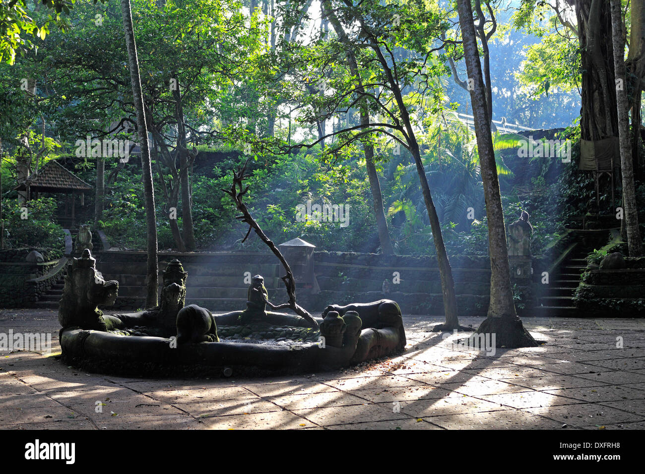 Affe Schwimmen pool im Heiligen Affenwald von Ubud Bali. Am frühen Morgen mit Lichtstrahlen scheint durch die Bäume genommen. Stockfoto