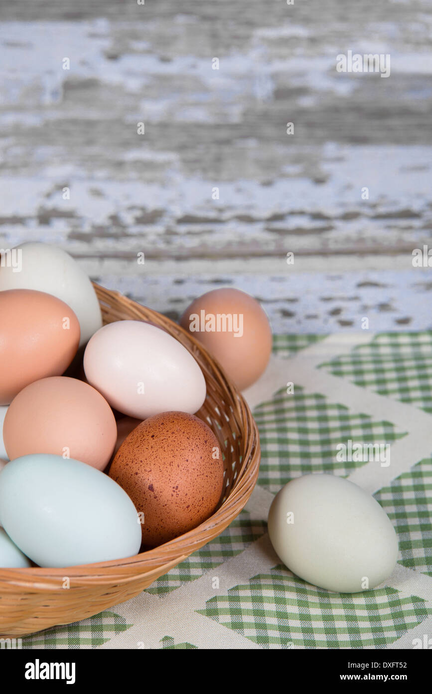 Auswahl an verschiedenen Farbe, frisch, Hühnereier in einem Korb. Grünton Küche Textile Hintergrund. Stockfoto