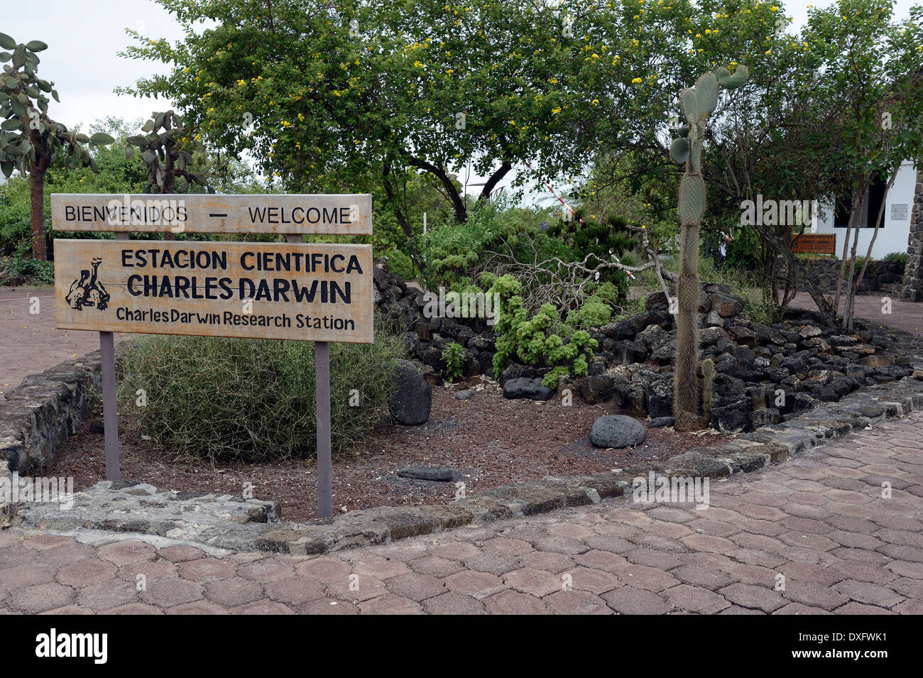 Eingang Bereich, Charles Darwin Research Station, Santa Cruz Insel, Galapagos-Inseln, Ecuador / Indefatigable Island Stockfoto