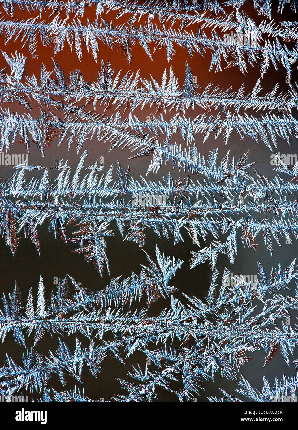 Makroaufnahme von Frost Kristalle bilden in einem Fenster (X 3 Vergrößerung) Stockfoto