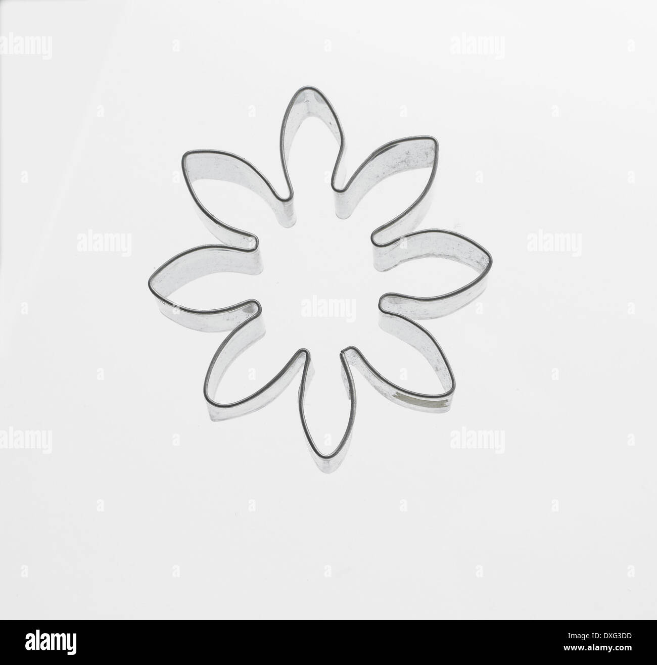 Studioaufnahme von Blume geformte Gebäck Cutter Stockfoto