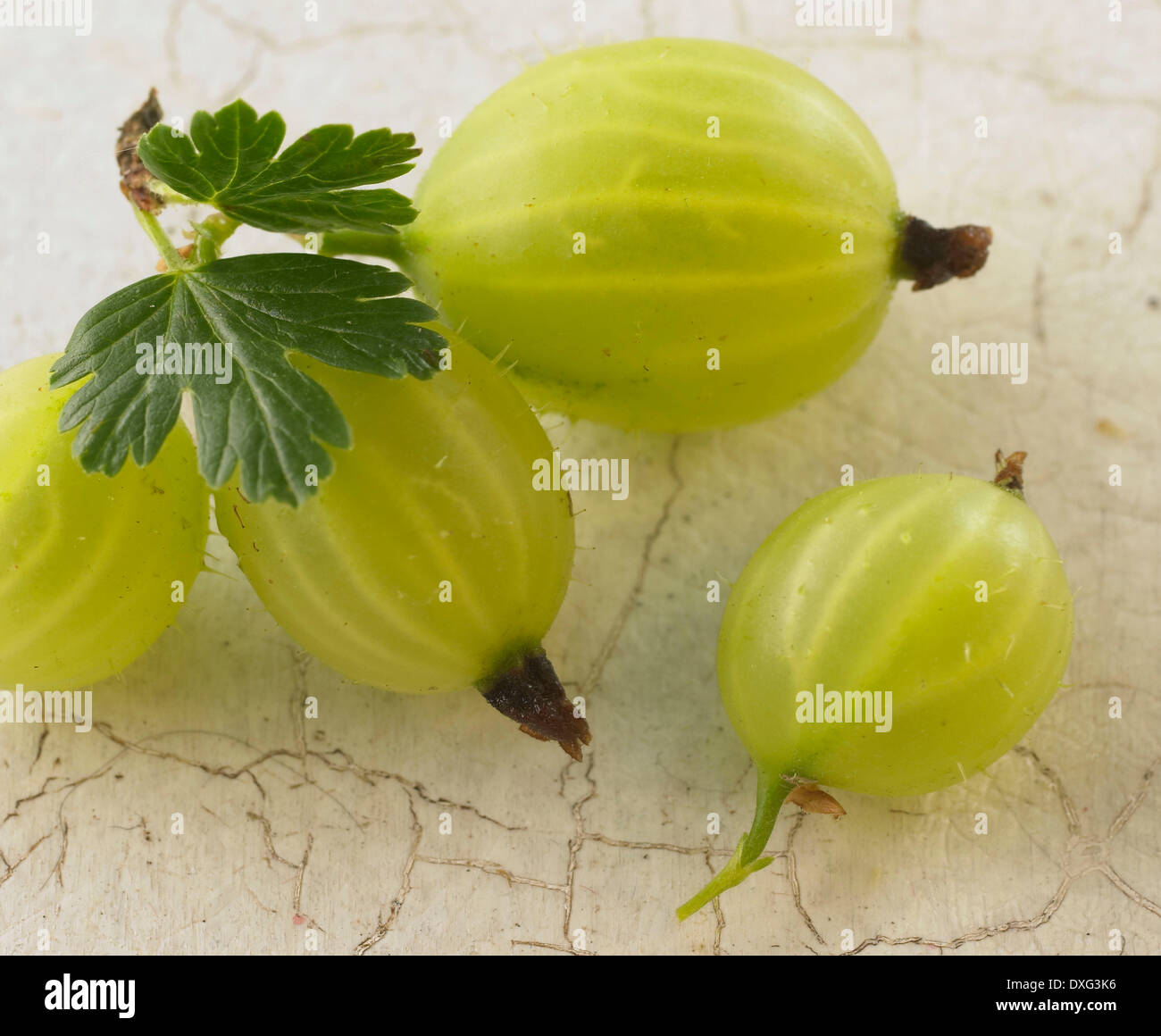 Nahaufnahme von Stachelbeeren auf farbigem Hintergrund Stockfoto