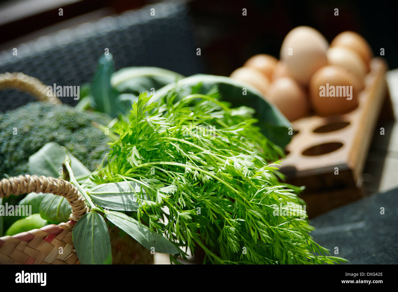 Korb mit frisch gepflückten Garten Produkte Stockfoto