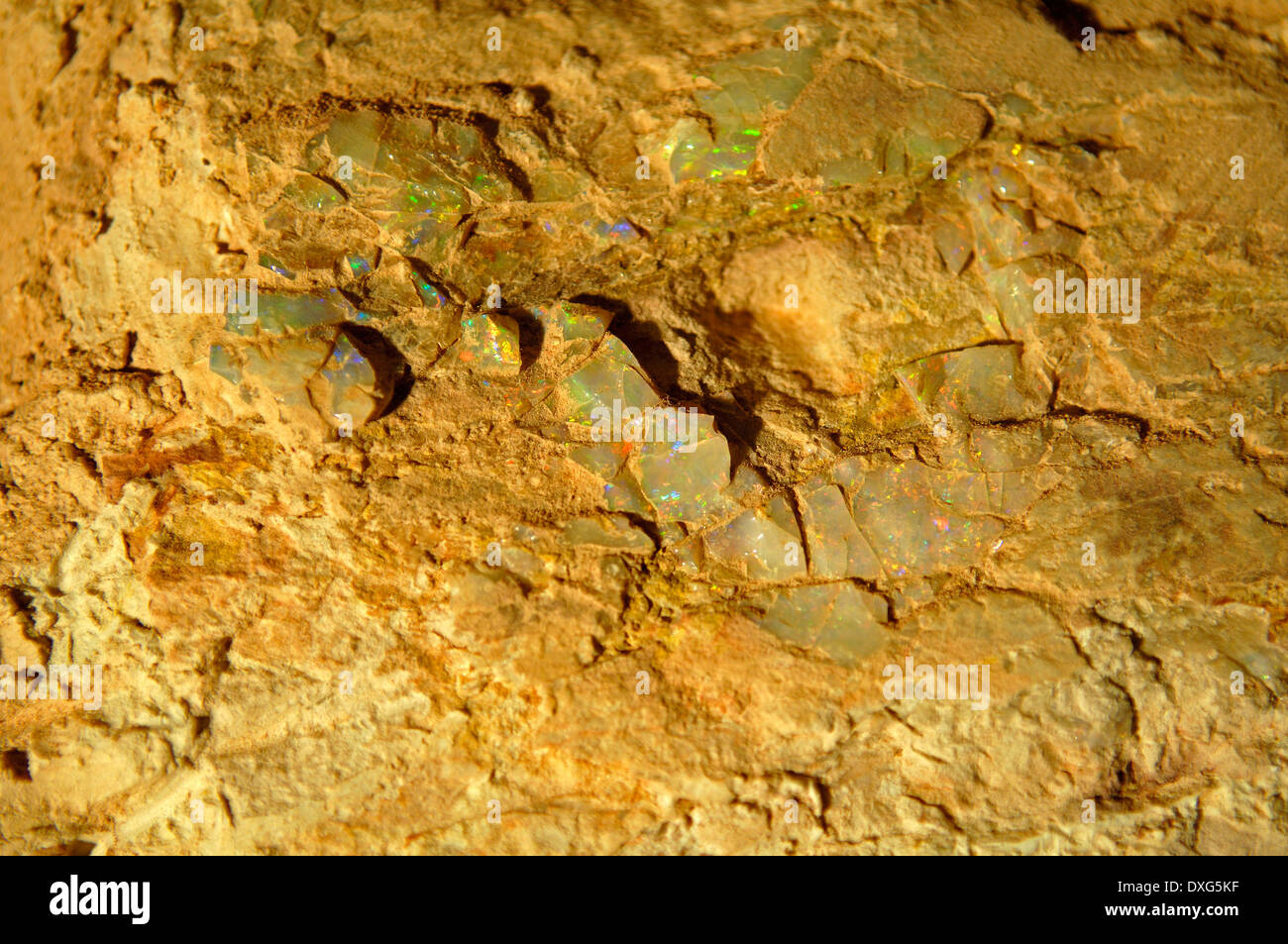 Opal Naht, Opal Mine, Coober Pedy, Südaustralien Stockfoto