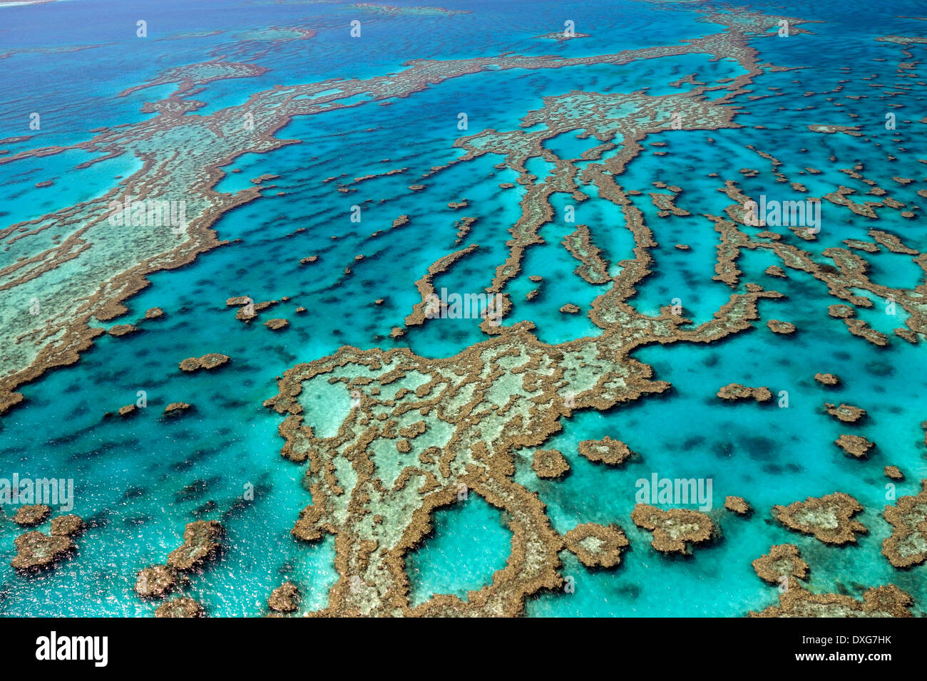 Riffe und Atolle, Great Barrier Reef, Queensland, Australien Stockfoto