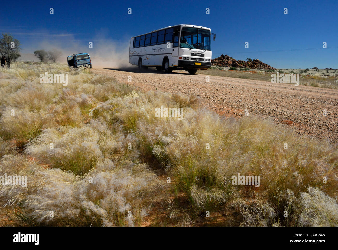 Sonnengebleicht Veld Gräser und Bus auf Staub Weg, Süd-Namibia Stockfoto