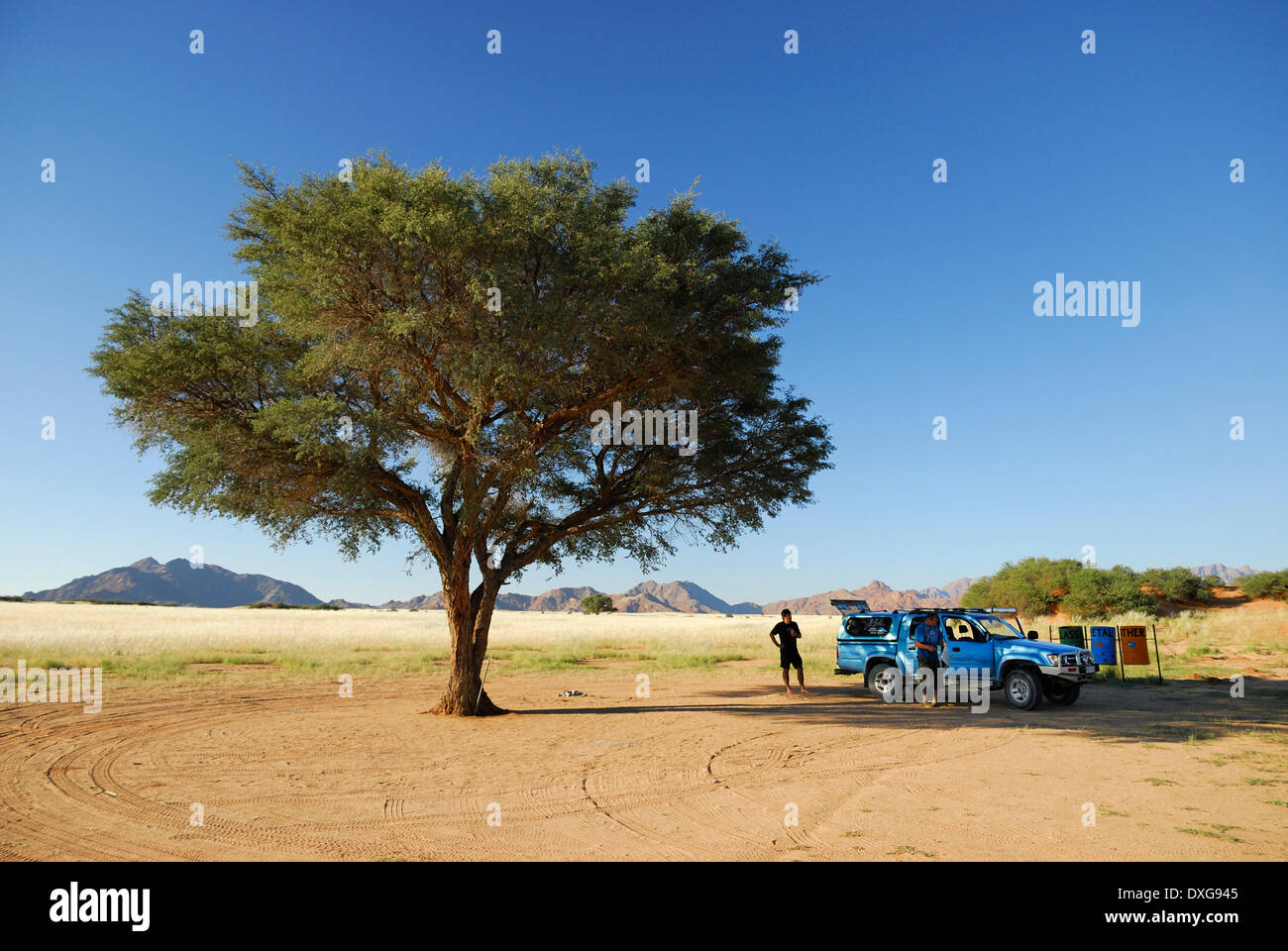 Campingplatz unter Camelthorn Baum bei Sesriem Stockfoto