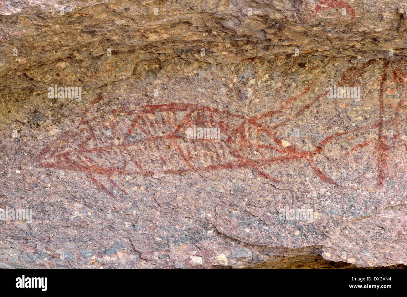 Fisch, Detail, historische Felsmalereien der Indianer verschiedener Cochimí Stämme, mindestens 3500 Jahre Canon De La Trinidad, Mulege Stockfoto