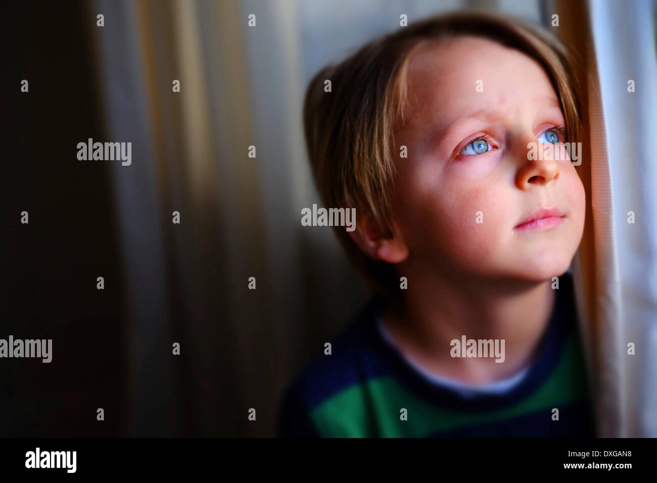 Junge, Aussehen vier Jahre, verträumt Stockfoto