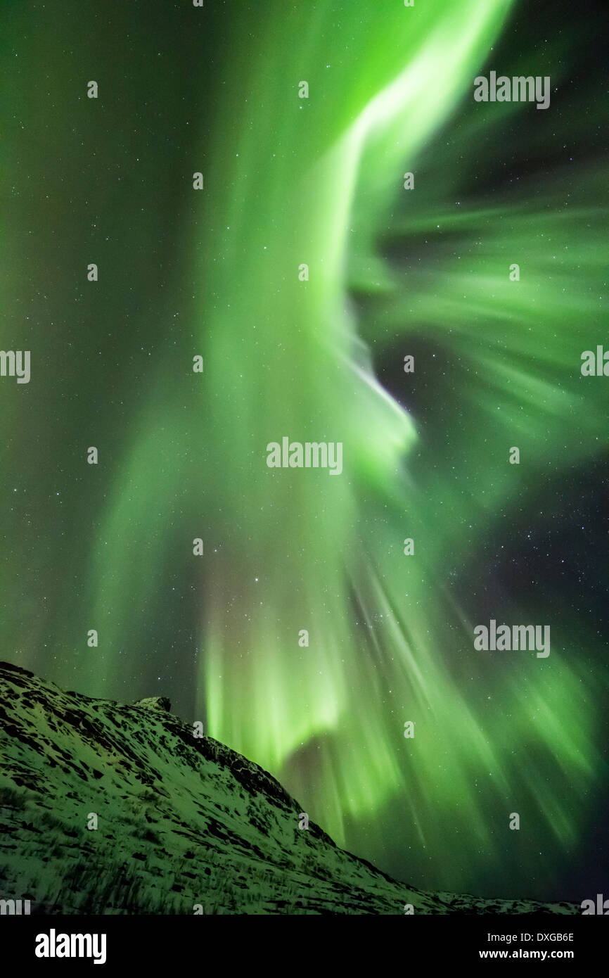 Kvaløya Insel Aurora Borealis oder das Nordlicht über Nachthimmel innerhalb des Polarkreises Troms Region Norwegen Stockfoto