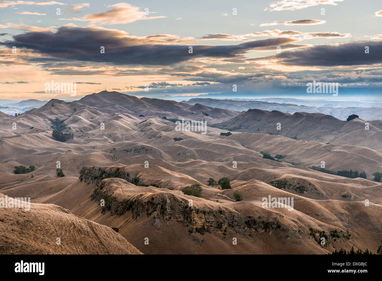 Te Mata Peak, trockenen Landschaft, Abendstimmung, in der Nähe von Hastings, Hawke's Bay, North Island, Neuseeland Stockfoto