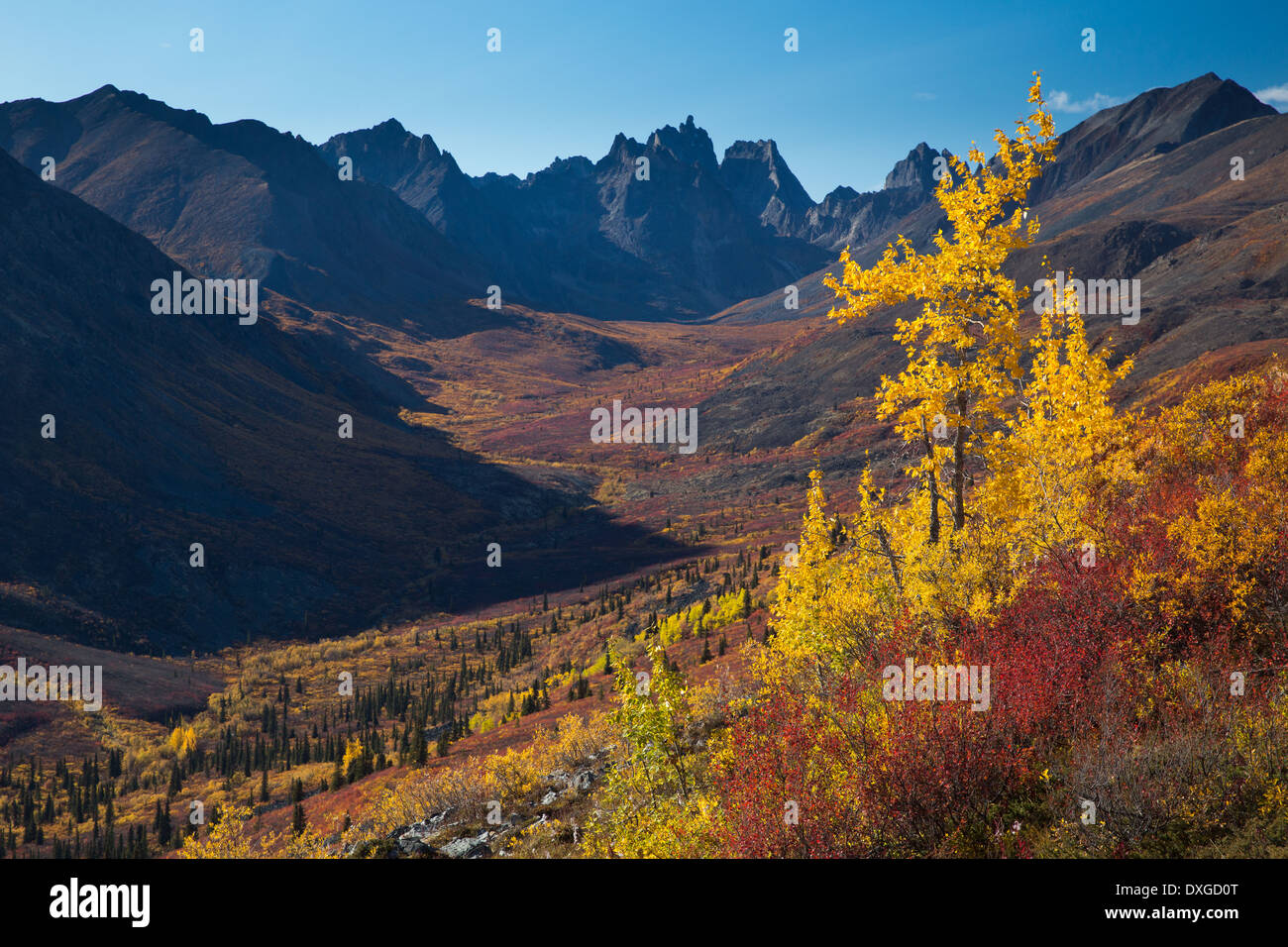 Tombstone Mountain und dem oberen Grizzly Creek in Herbst, Tombstone Territorial Park, Yukon Territorien, Kanada Stockfoto