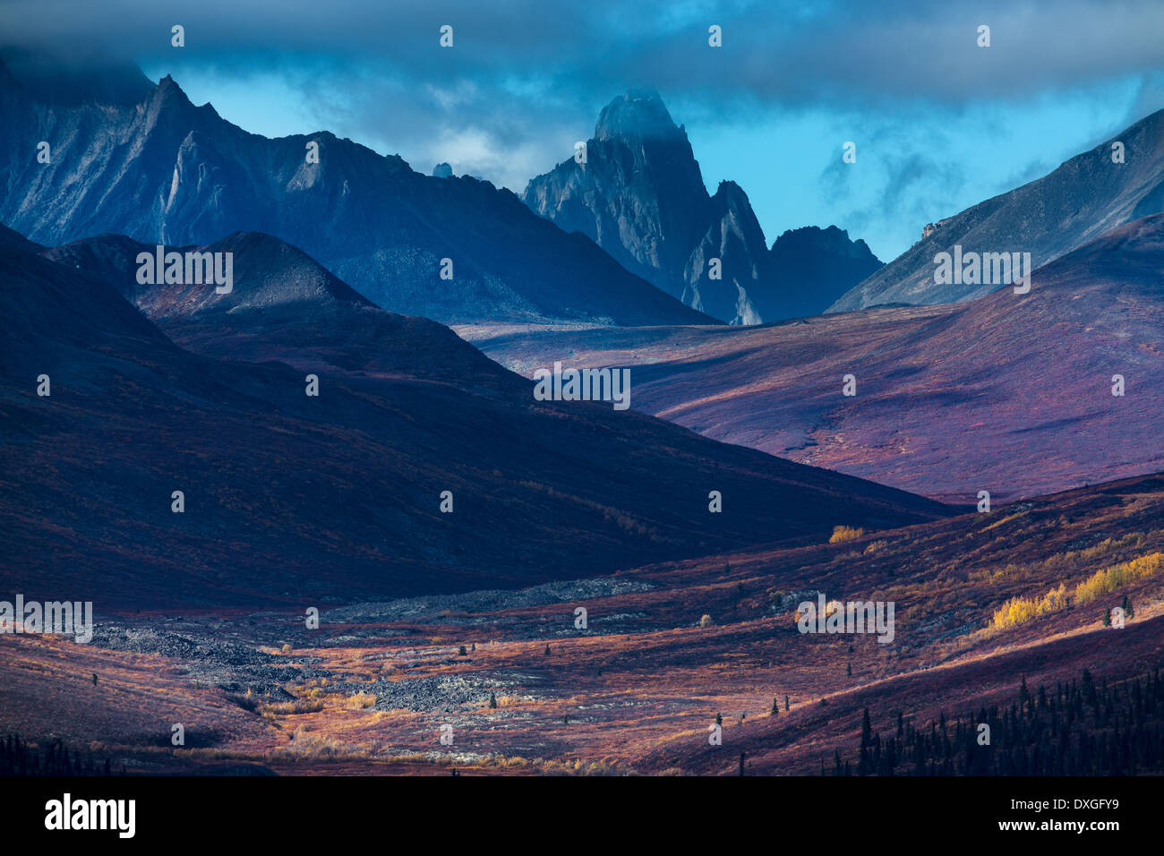 Tombstone Pass und das obere Tal des Flusses North Klondike im Herbst, Tombstone Territorial Park, Yukon Territorien, Kanada Stockfoto