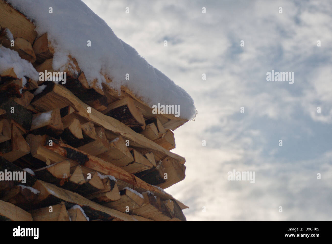 gestapelte Holzscheite (Brennholz), als wallpaper Stockfoto