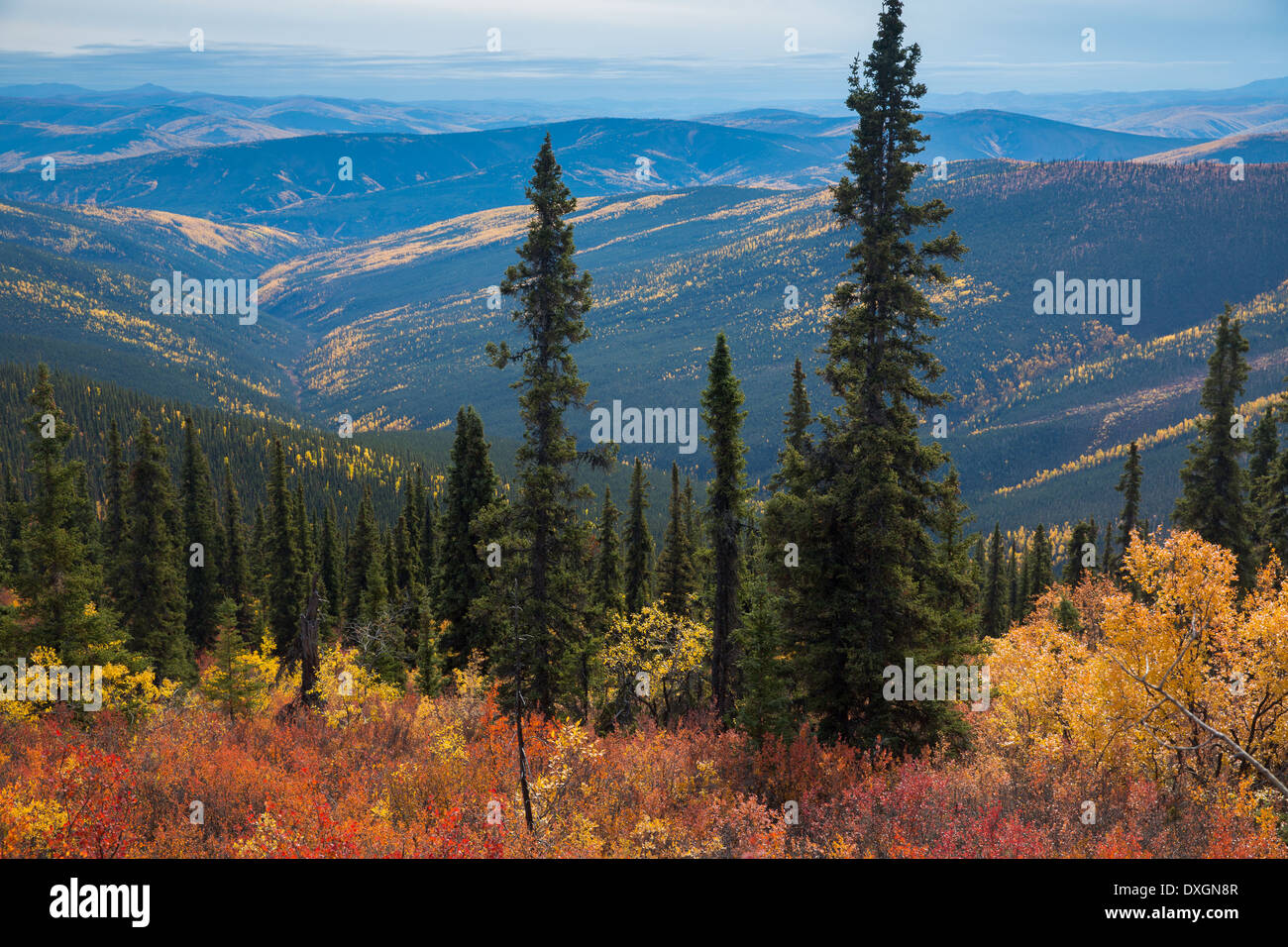 Die Aussicht vom Top of the World Highway, Yukon Territorien, Kanada Stockfoto