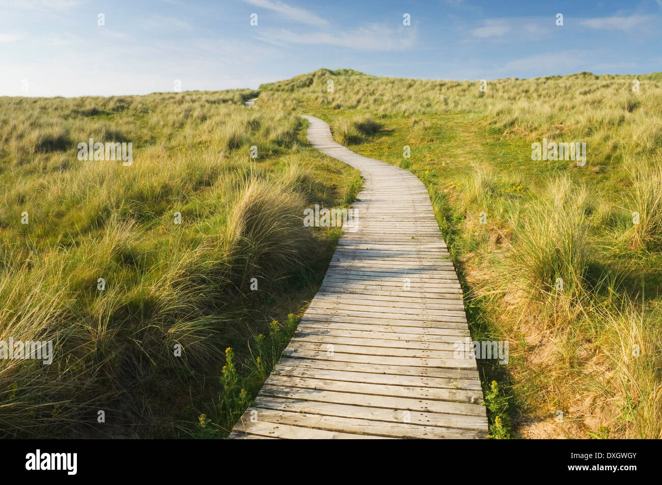 Die Gewässer des Pilorth Nature Reserve in der Nähe von Fraserburgh, Aberdeenshire, Schottland, UK. Stockfoto