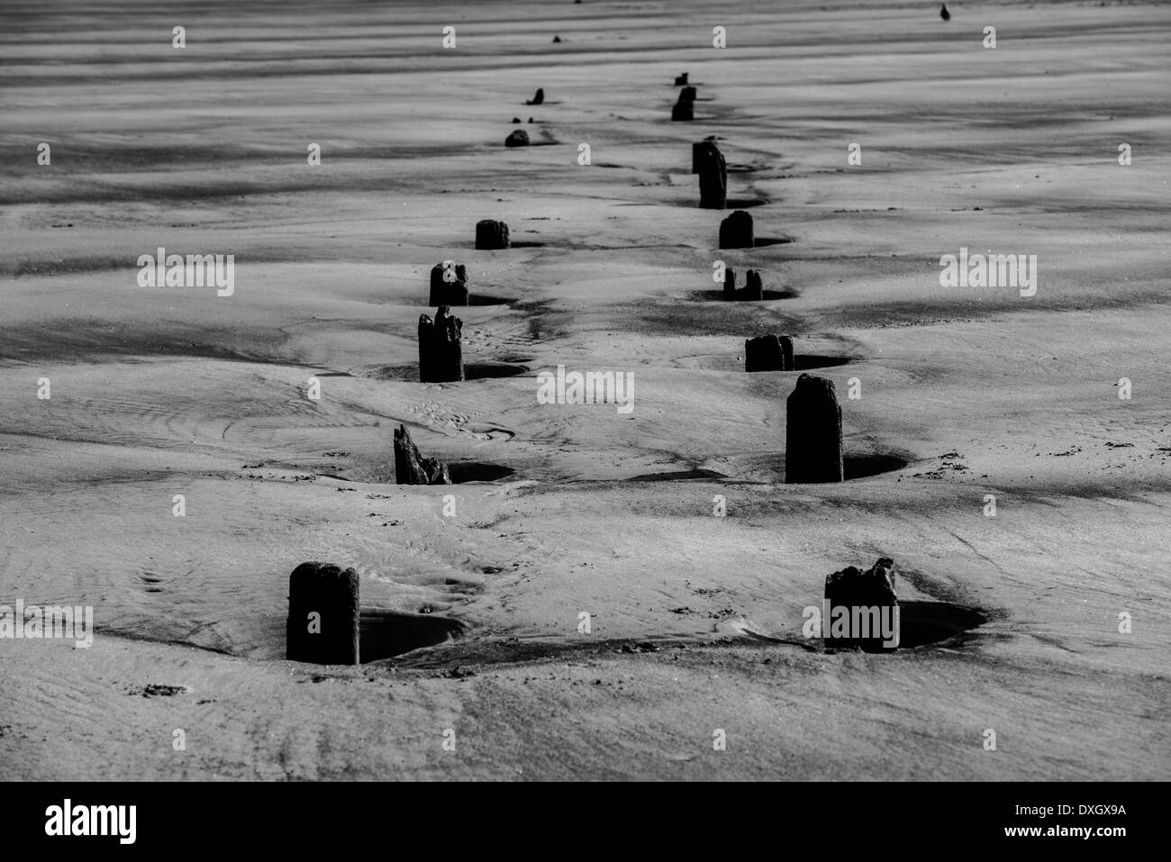 Schwarz / weiß Bild von den Resten des hölzernen See Verteidigung Barriere am Strand. Stockfoto