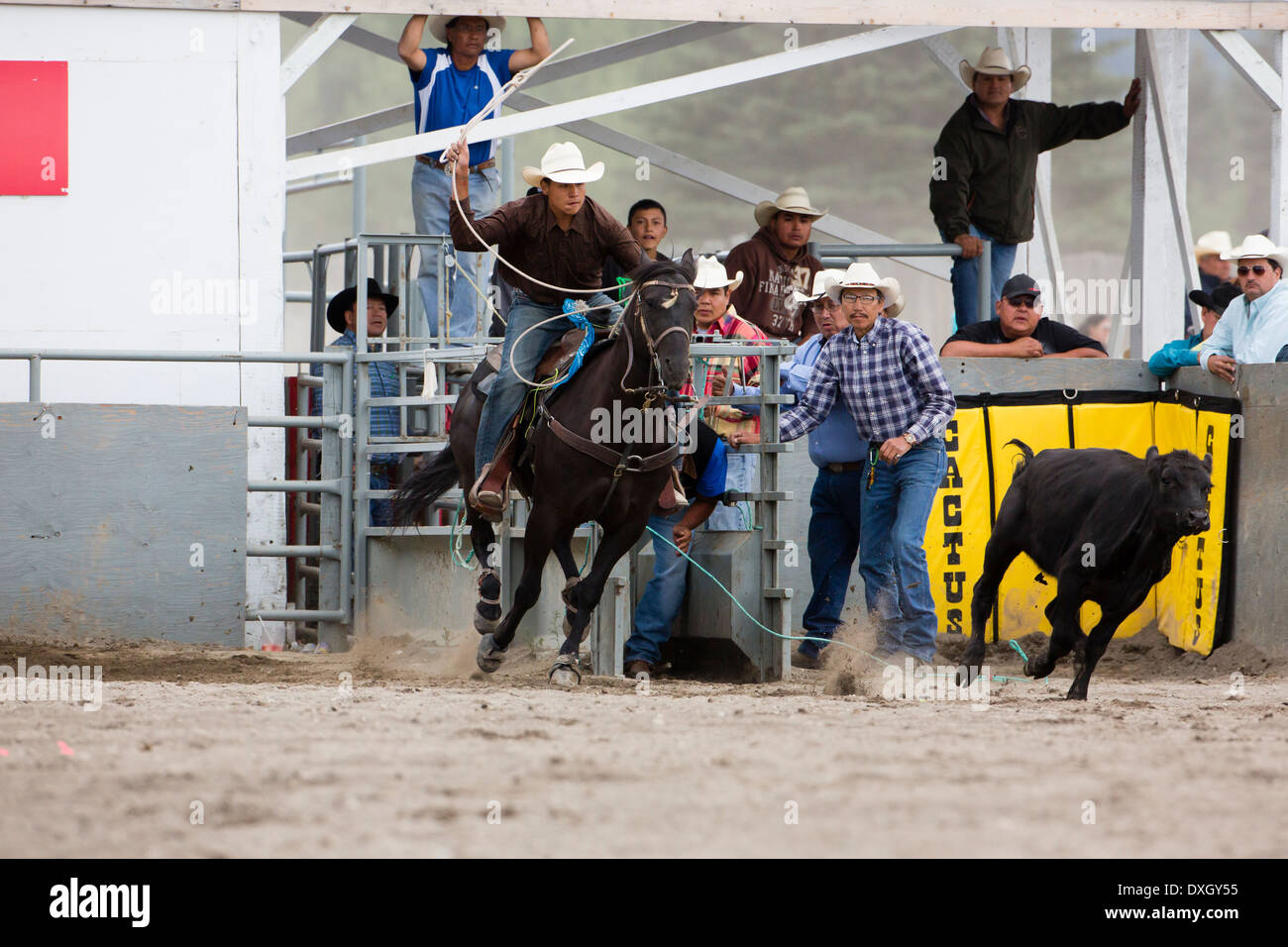 2013 © Christopher Martin Stockfoto