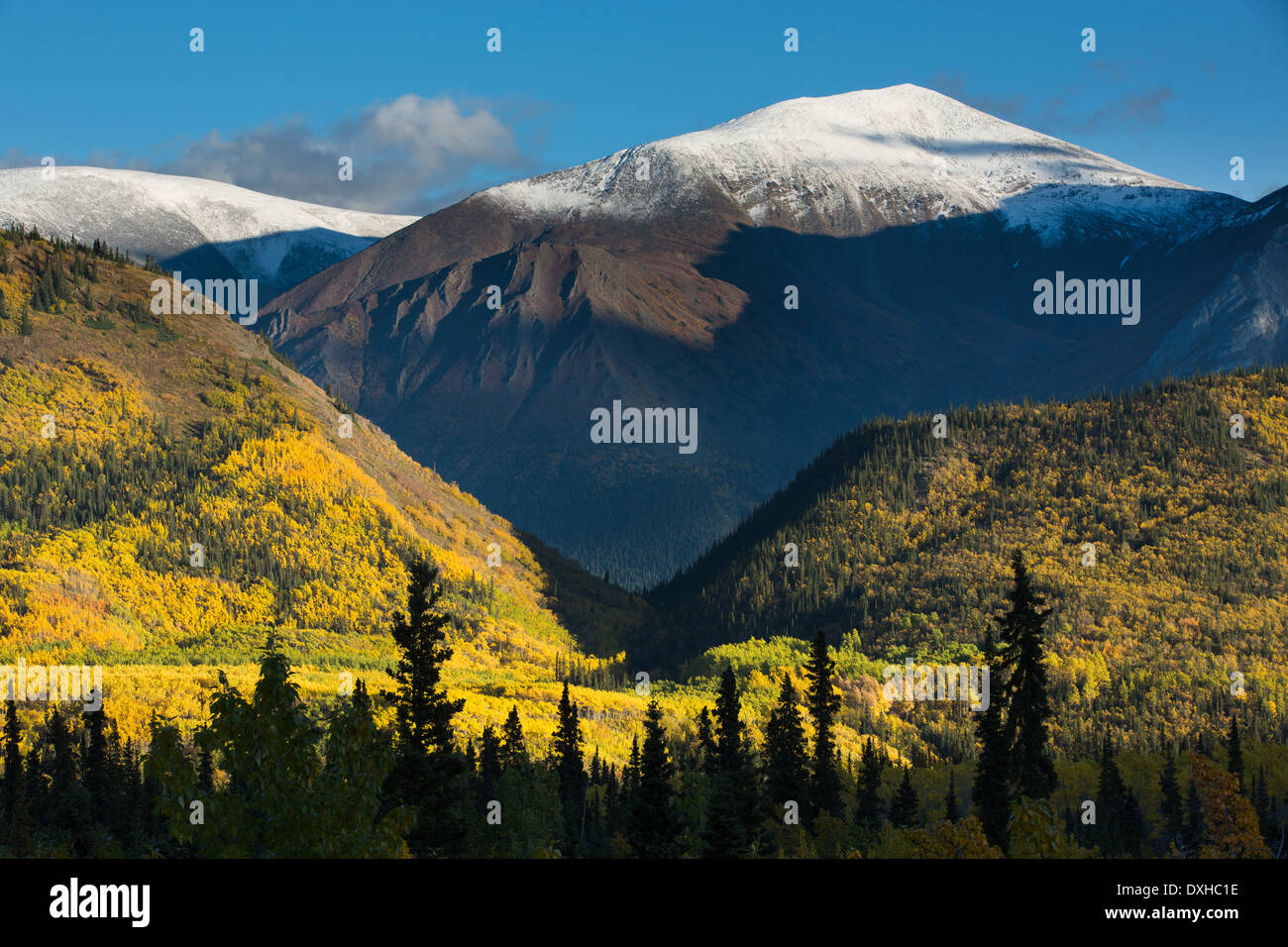 Herbst Farben entlang der South Klondike Highway und einen Schatten ähnelt dem Kopf eines Wolfes auf Young Peak British Columbia Kanada Stockfoto