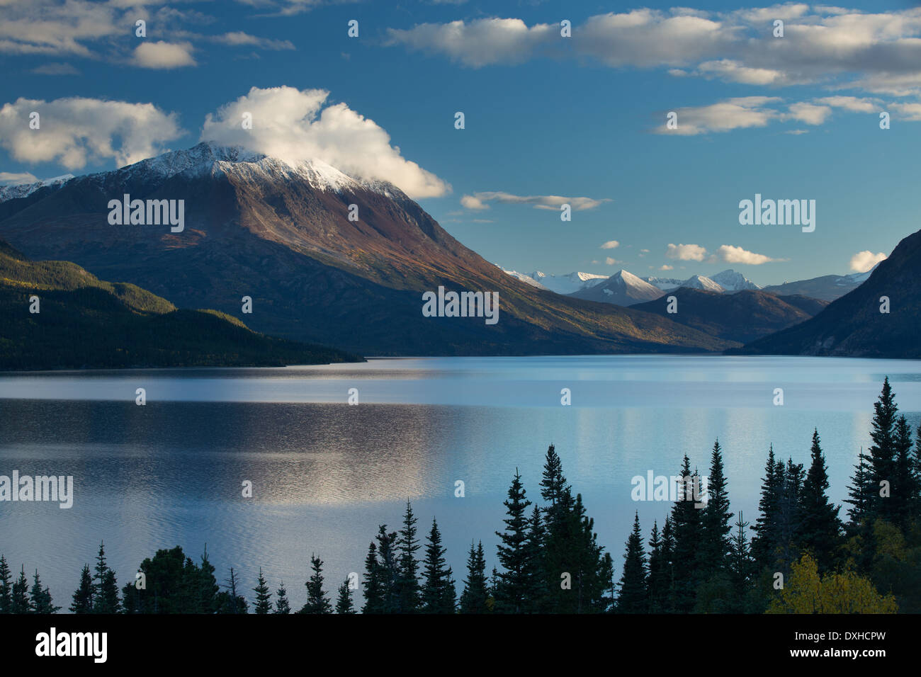 Tutshi Lake, British Columbia, Kanada Stockfoto