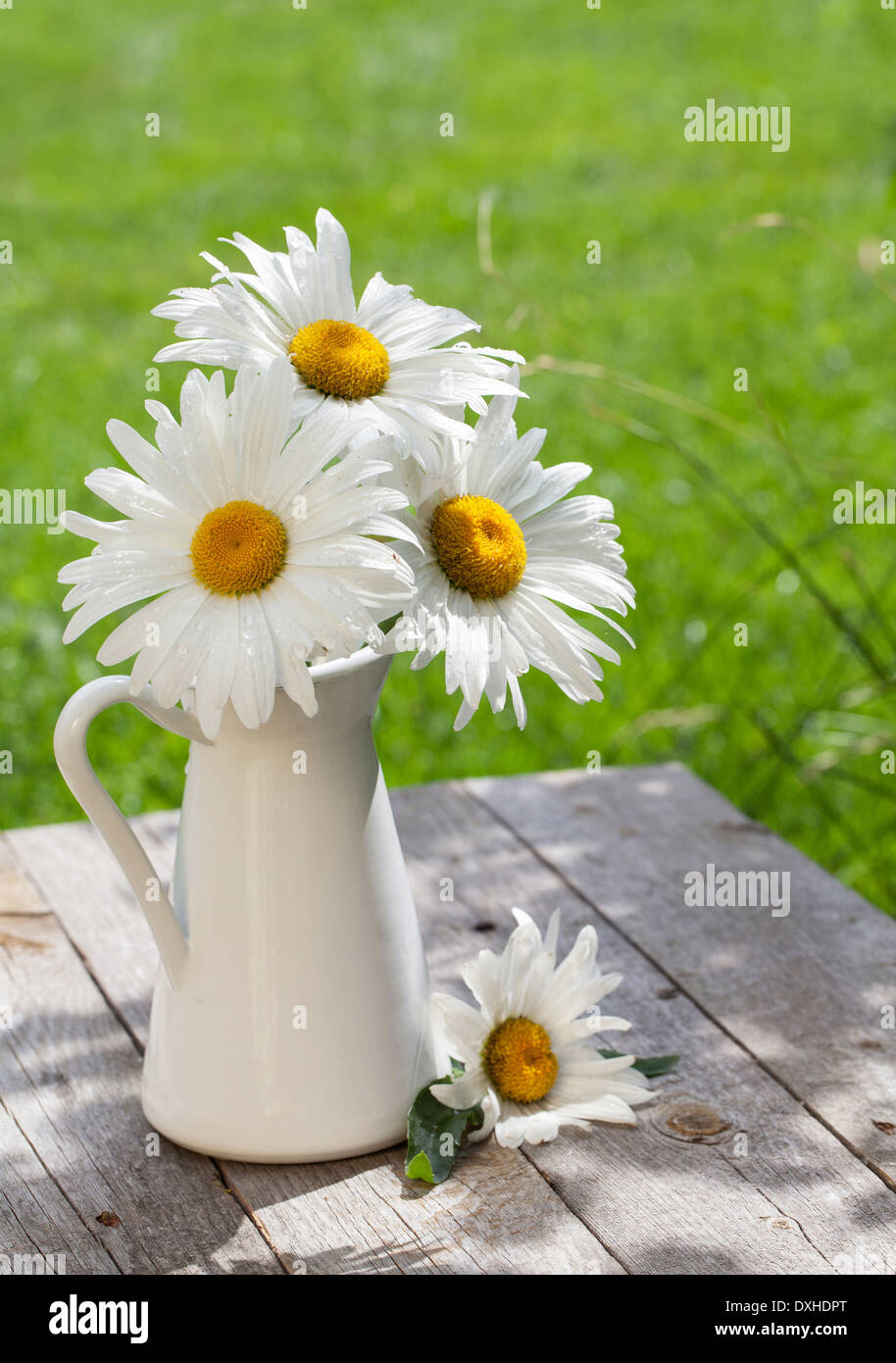 Frischer Garten Kamille Blumenstrauß in der Vase auf Holztisch Stockfoto