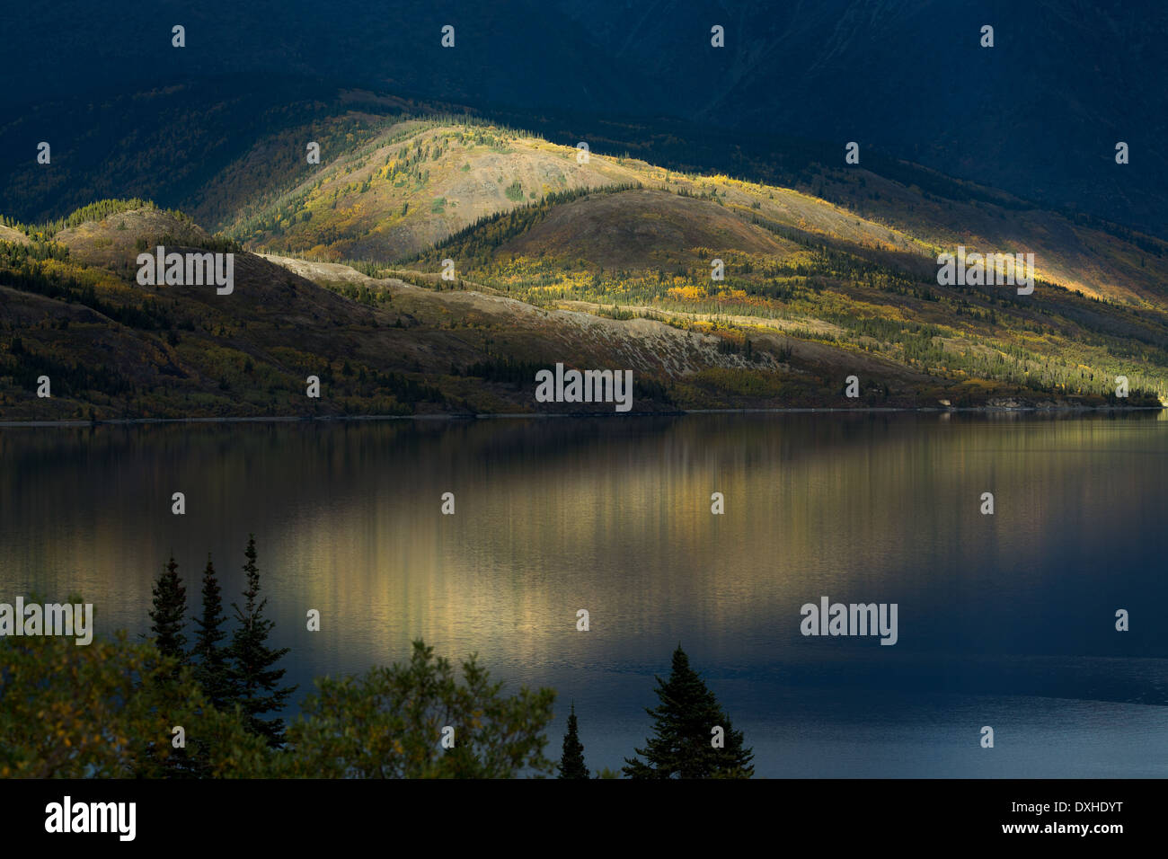 eine späte Welle des Sonnenlichts auf Tutshi Lake, British Columbia, Kanada Stockfoto