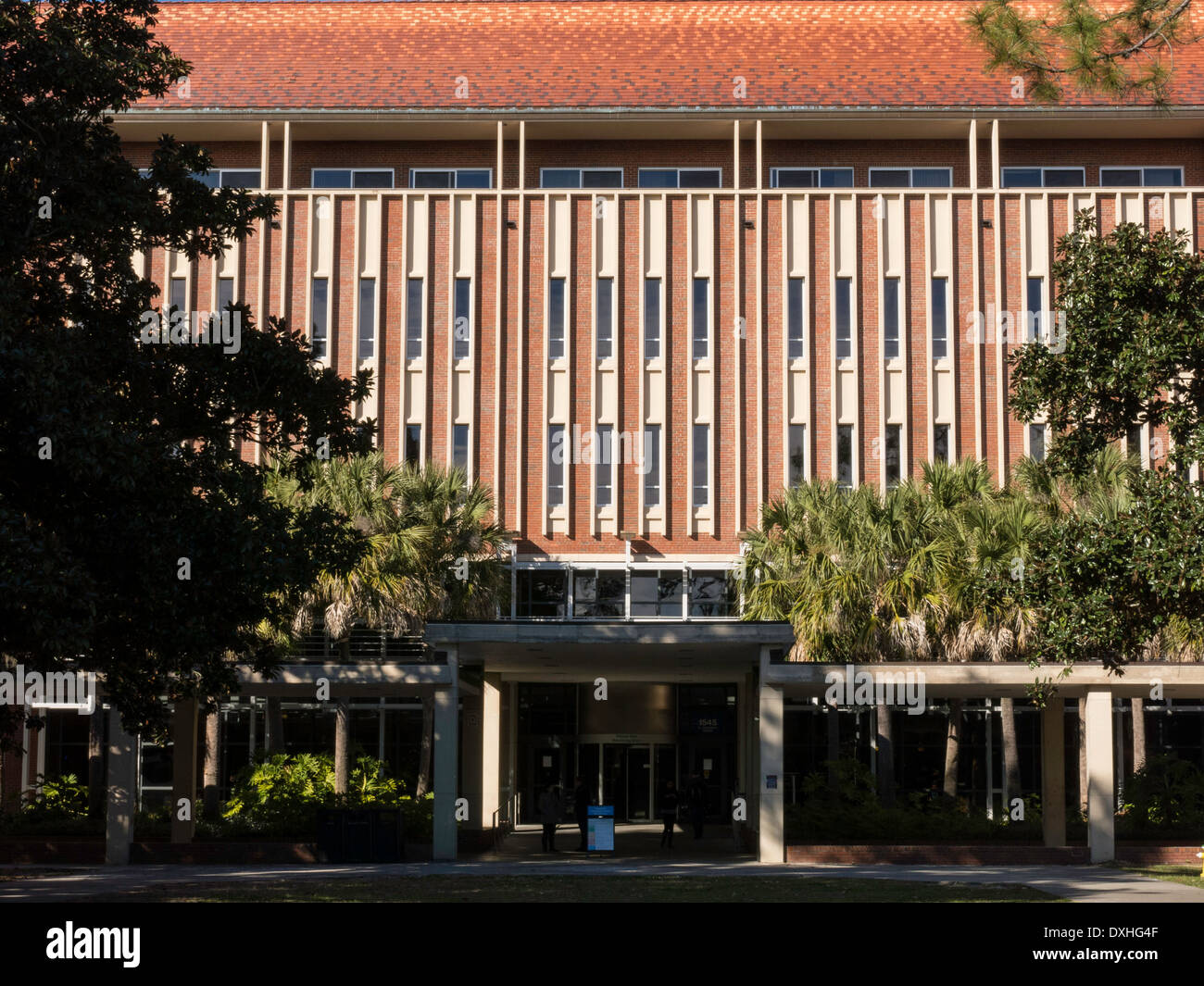 Universität von Florida, Gainesville, FL, USA Stockfoto