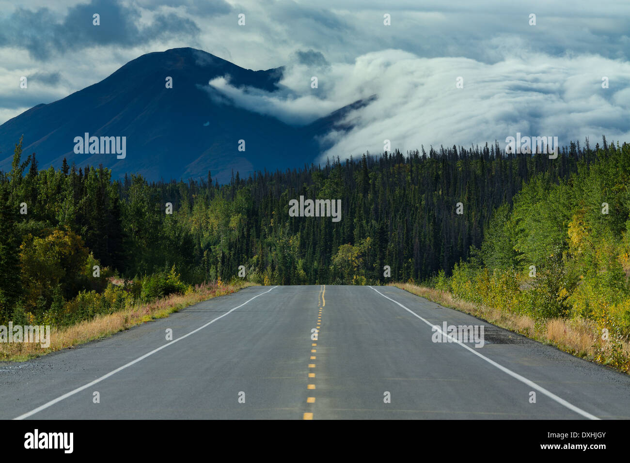 Die Straße nach Haines, Yukon Territorien, Kanada Stockfoto