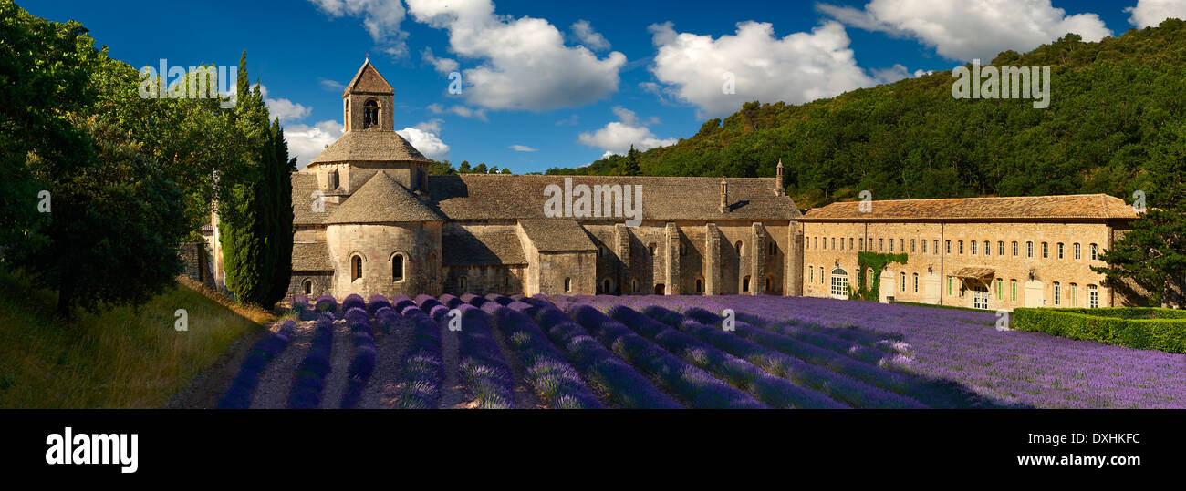Die 12. Jahrhundert Romanesque Zisterzienser Abtei Notre-Dame von Senanque inmitten der blühenden Lavendel-Felder der Provence Stockfoto
