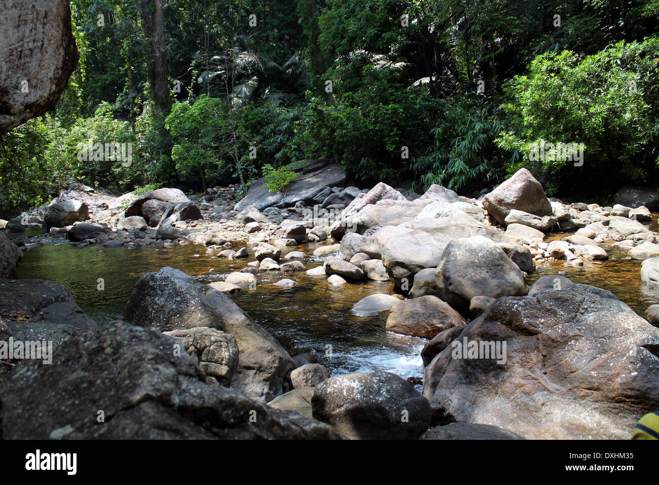 Kallar Fluss Kerala, Indien Stockfoto