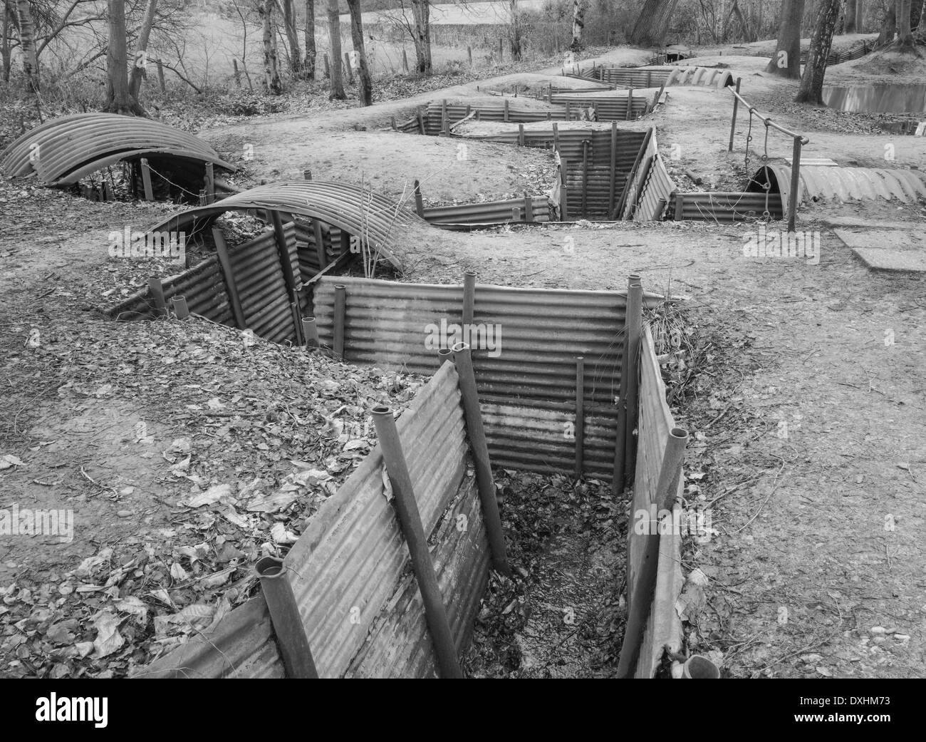 Restauriert von britischen WW1 Rigolensystem im Heiligtum Wood Hill 62, Nr. Ypern (Ieper), Belgien Stockfoto