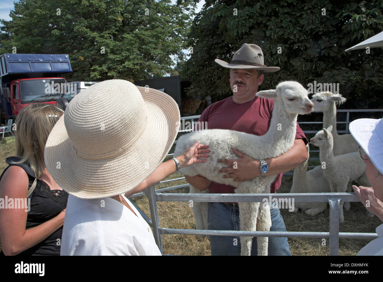 Weiße Baby Lama auf dem Display gehaltenen männlichen Torhüter am Sommerfest bei Butley, Suffolk, England Stockfoto