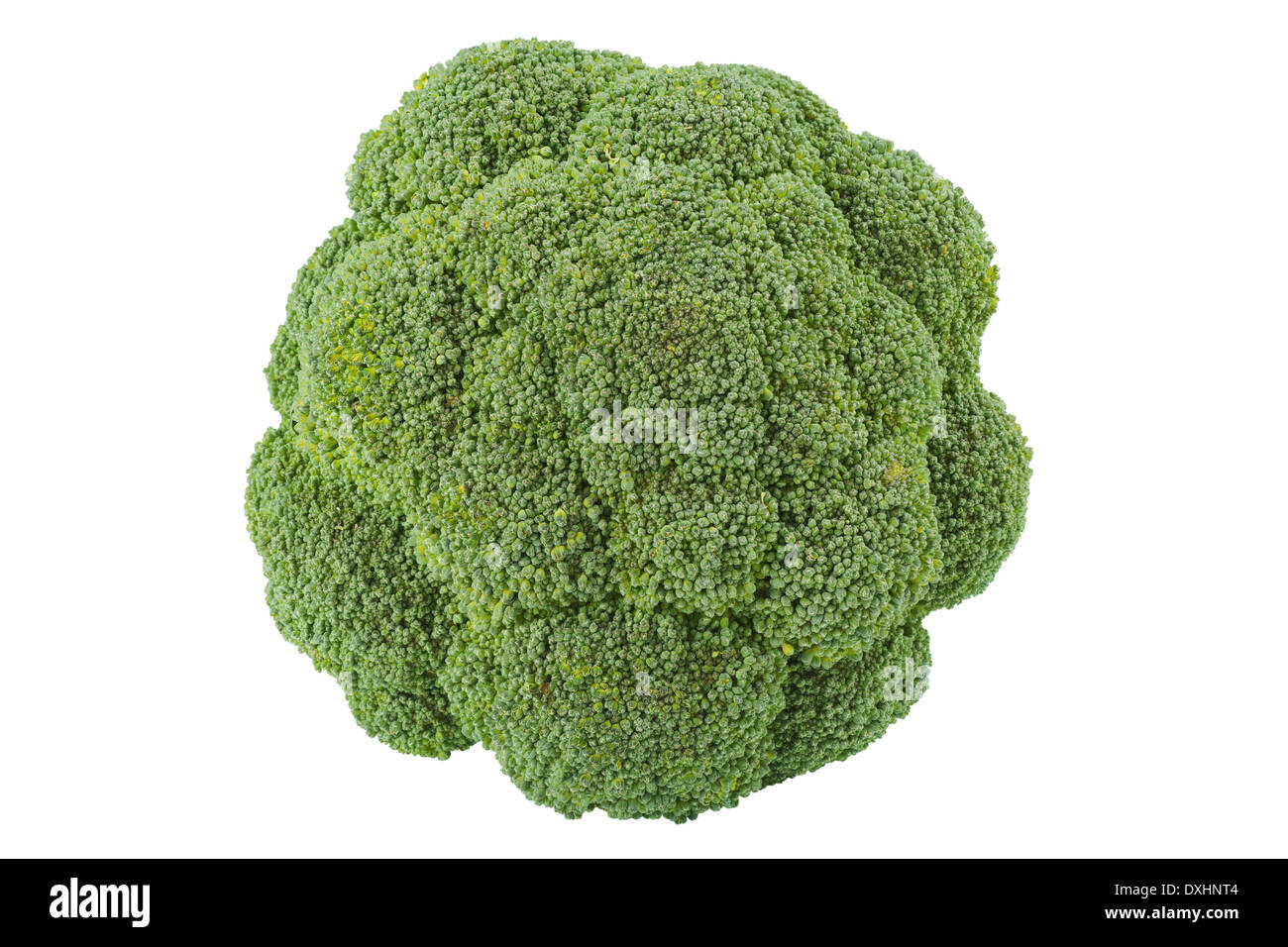 Brokkoli auf weiße, Top Sicht Stockfoto