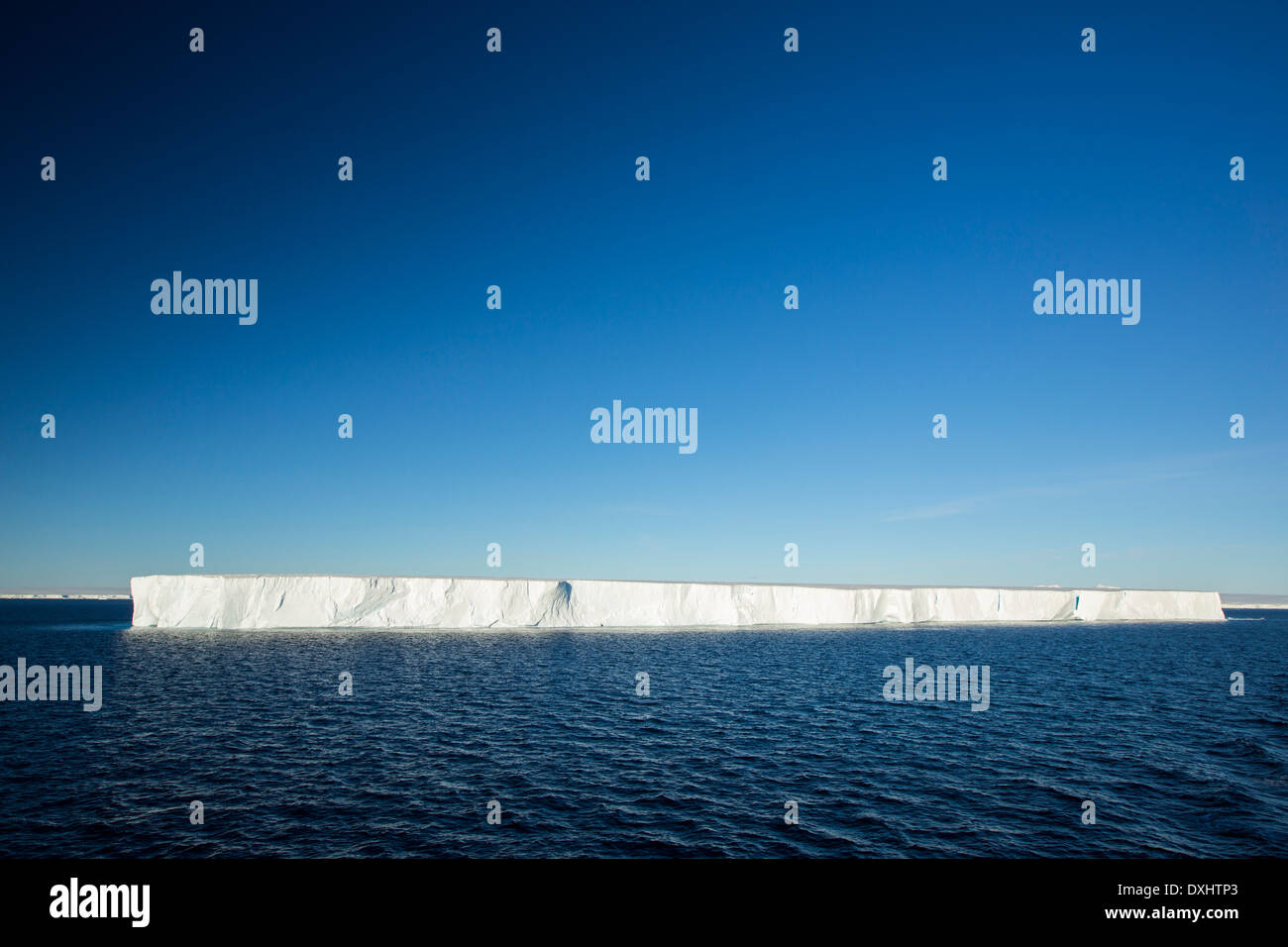 Eine tabellarische Eisberg Livinston Insel auf der antarktischen Halbinsel. Stockfoto