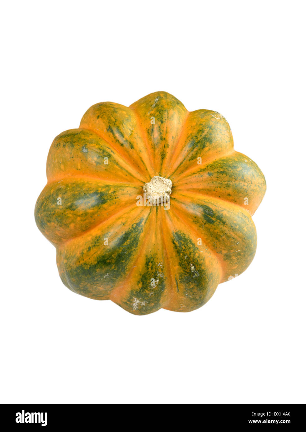 Acorn Squash, Isolated On White Background Stockfoto