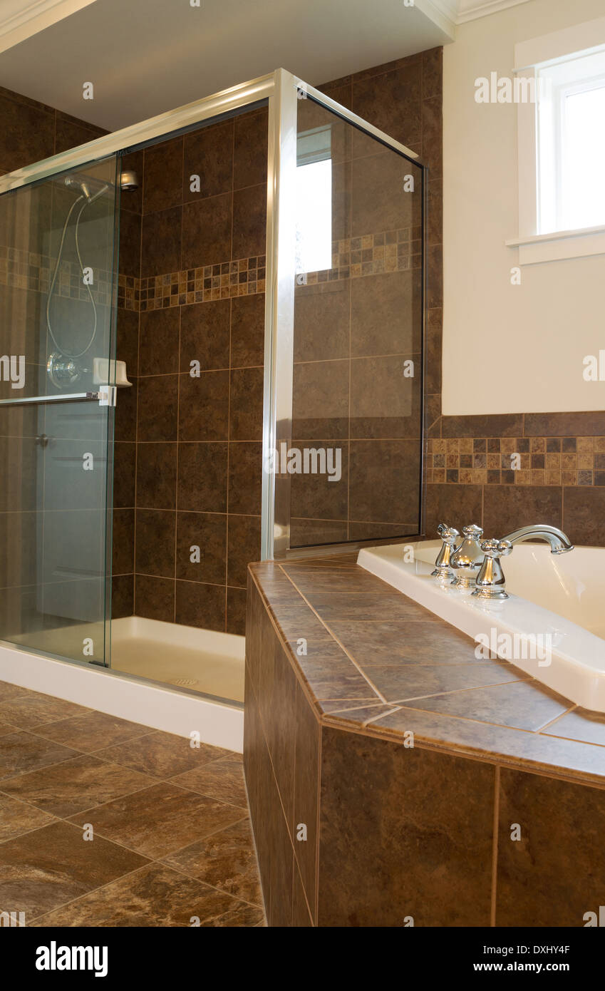 Vertikale Foto von begehbaren Glasdusche im master-Bad mit teilweise Badewanne und Fenster im Hintergrund Stockfoto
