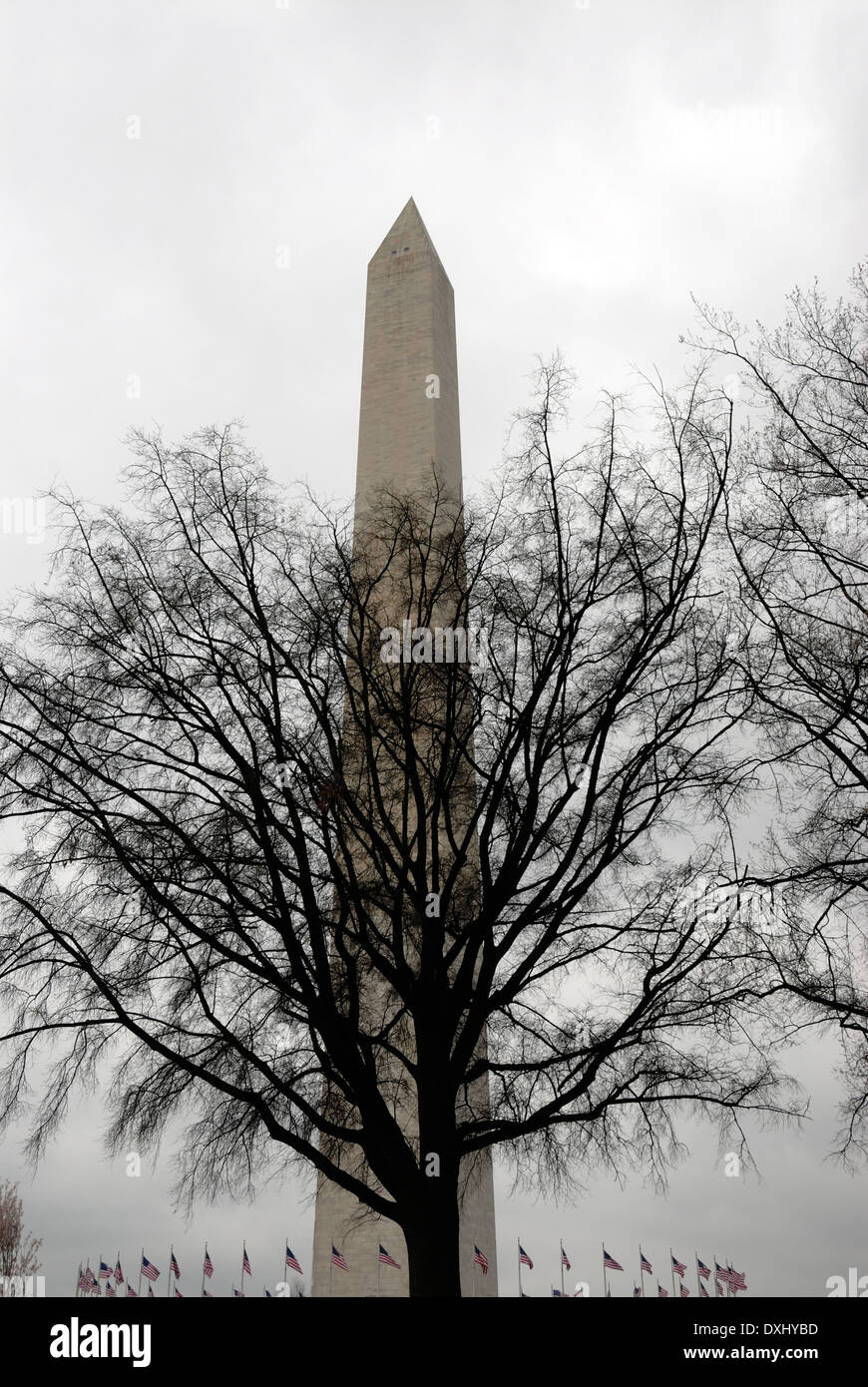 Washington Monument mit Kreis der Fahnen um die Basis in Washington, DC Stockfoto