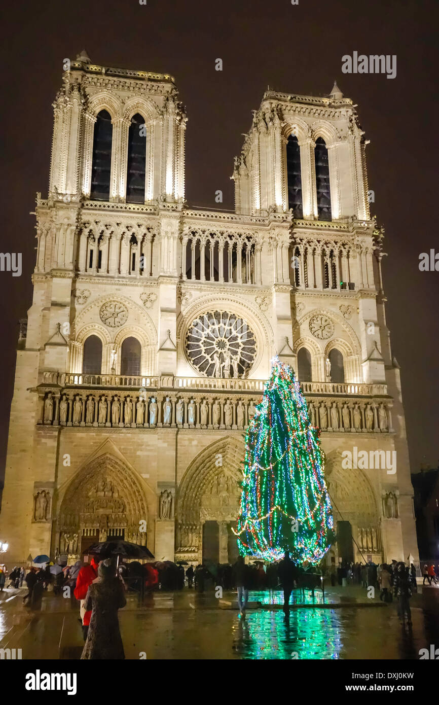 Weihnachtsbaum vor Notre Dame de Paris, France Stockfoto