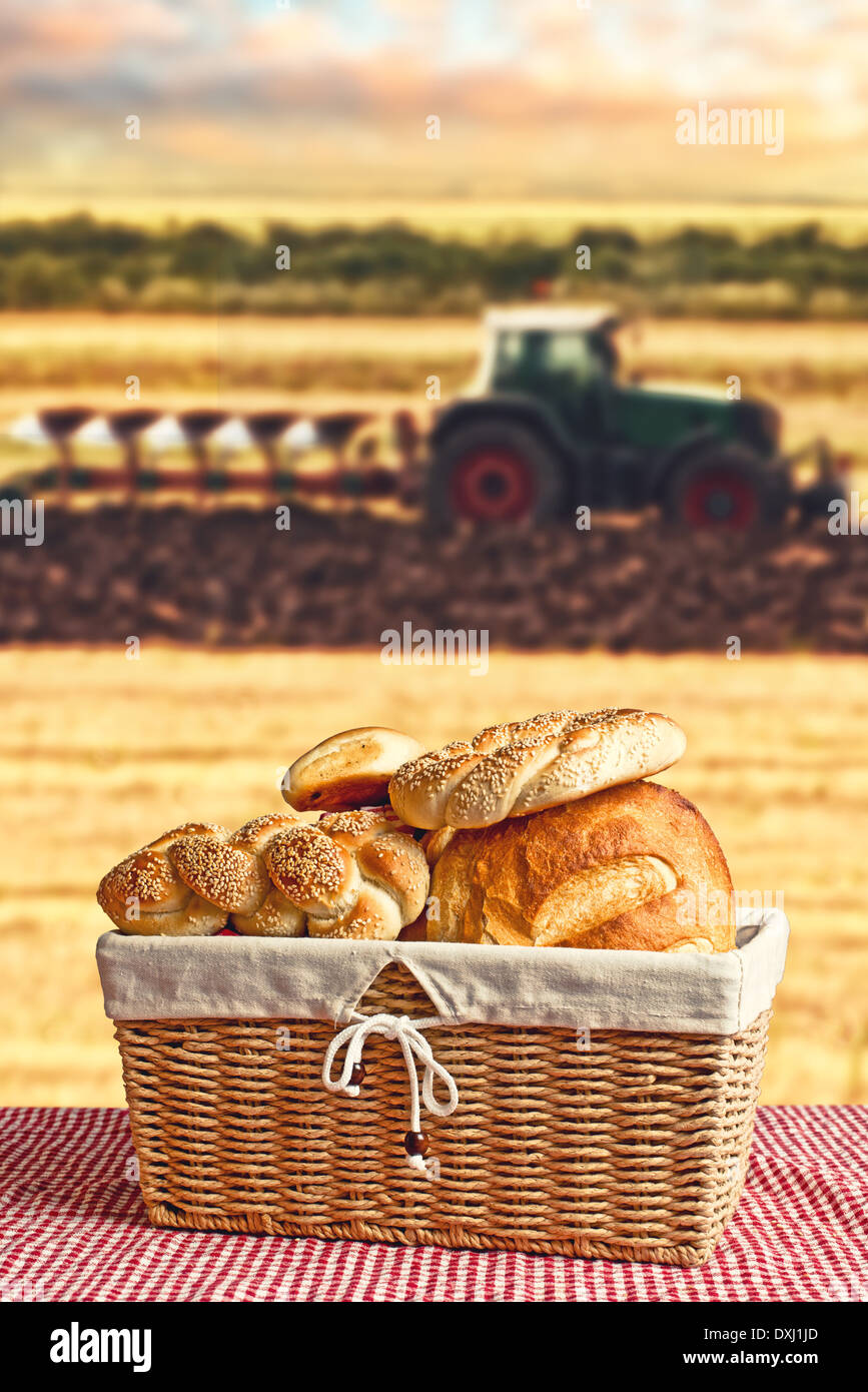 Brot in Weidenkorb mit Traktoren und landwirtschaftlichen Bereich im Hintergrund. Konzeptbild Brot zu machen. Stockfoto