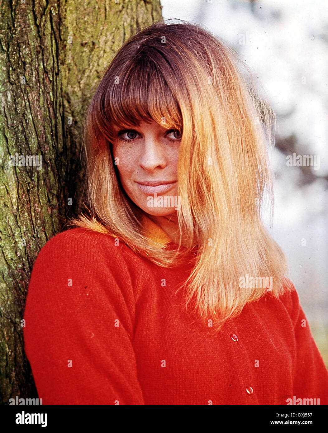 Julie christie Fotos und Bildmaterial in hoher Auflösung Alamy