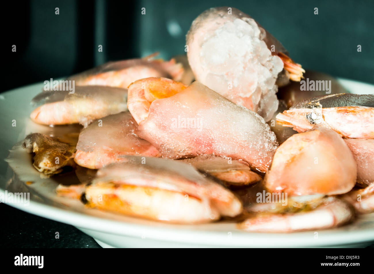Gefrorene Garnelen mit einer dicken Eisschicht bedeckt. In der Mikrowelle. Stockfoto